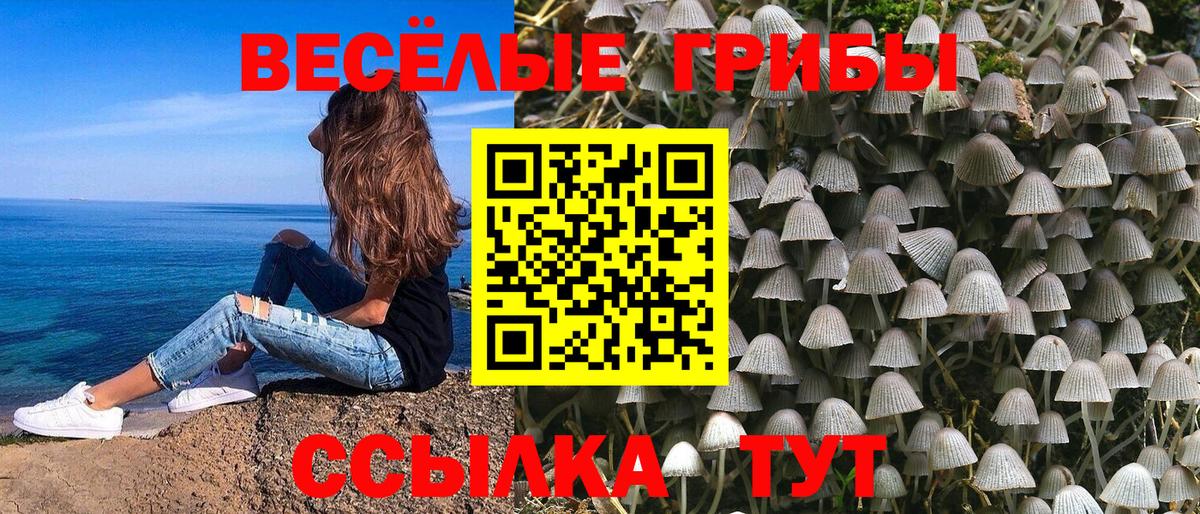 магазин продажи наркотиков  Вход с VPN  Сатка  Галлюциногенные грибы мухоморы 